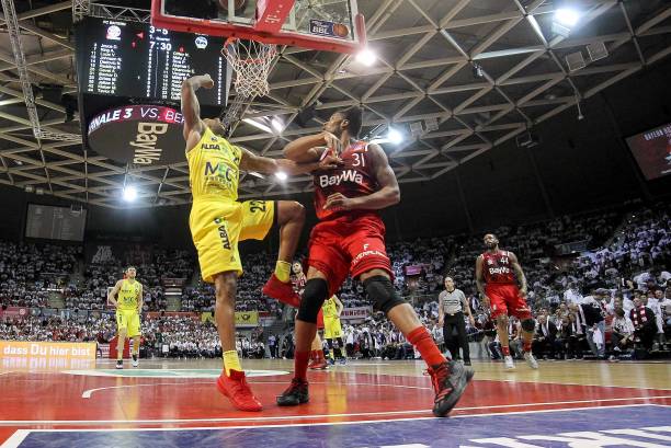 以迅速成熟 以迅速成熟